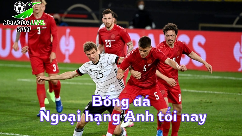 Bóng đá Ngoại hạng Anh tối nay trực tiếp trên bongdalive.wiki