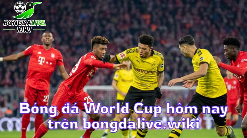 Bóng đá World Cup hôm nay trên bongdalive.wiki