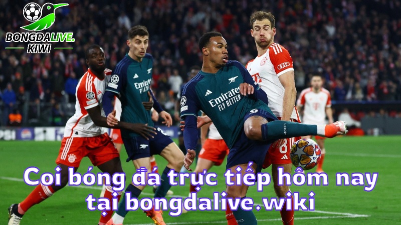 Coi bóng đá trực tiếp hôm nay tại bongdalive.wiki