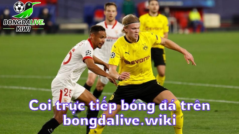 Coi trực tiếp bóng đá trên bongdalive.wiki