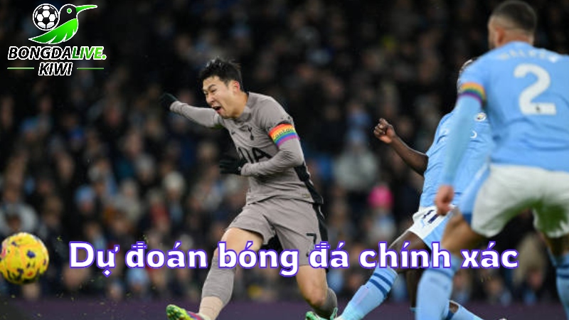 Dự đoán bóng đá chính xác tối nay tại bongdalive.wiki