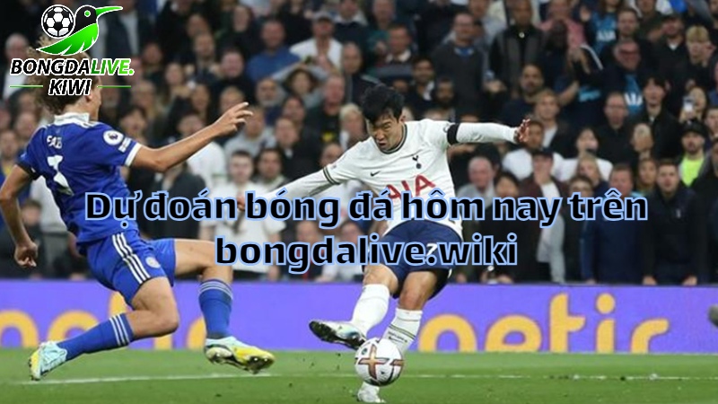Dự đoán bóng đá hôm nay trên bongdalive.wiki