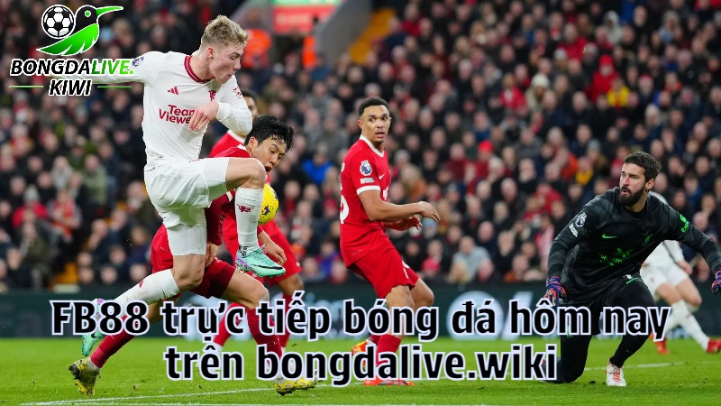 FB88 trực tiếp bóng đá hôm nay trên bongdalive.wiki