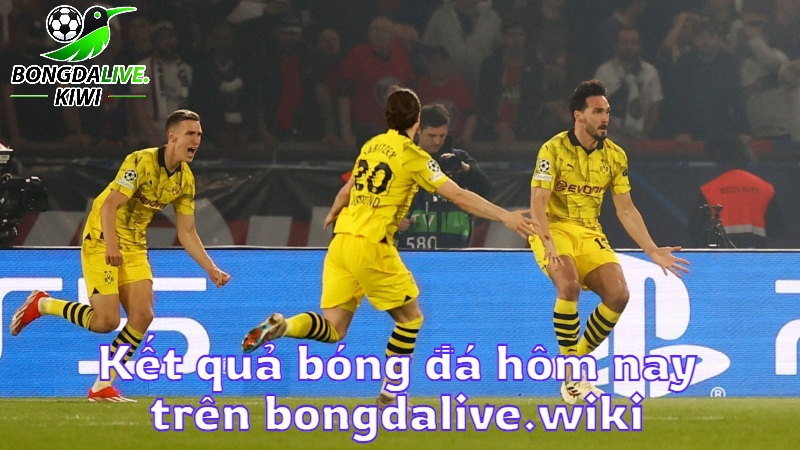 Kết quả bóng đá hôm nay trên bongdalive.wiki