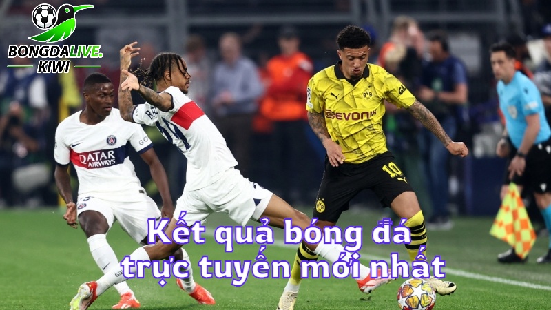 Kết quả bóng đá trực tuyến mới nhất trên bongdalive.wiki