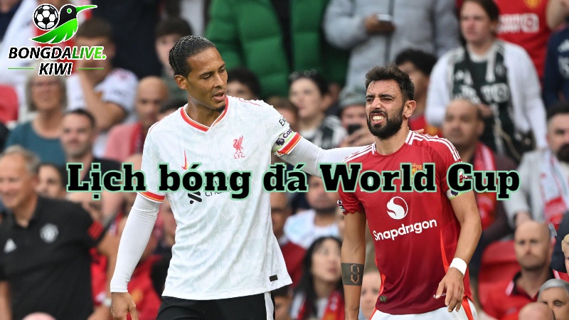 Lịch bóng đá World Cup hôm nay trên bongdalive.wiki