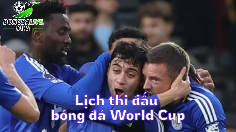 Lịch thi đấu bóng đá World Cup hôm nay tại bongdalive.wiki