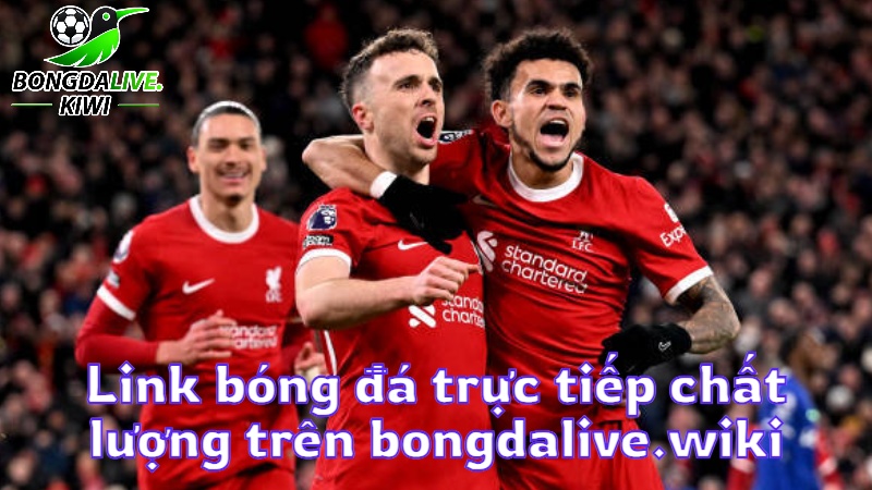 Link bóng đá trực tiếp chất lượng trên bongdalive.wiki