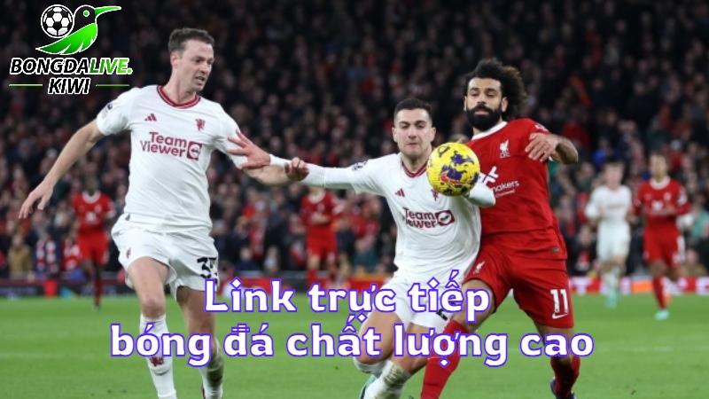 Link trực tiếp bóng đá chất lượng cao trên bongdalive.wiki