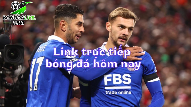 Link trực tiếp bóng đá hôm nay trên bongdalive.wiki