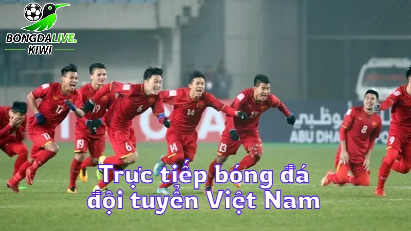 Trực tiếp bóng đá đội tuyển Việt Nam hôm nay trên bongdalive.wiki