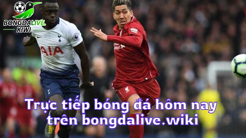 Trực tiếp bóng đá hôm nay trên bongdalive.wiki