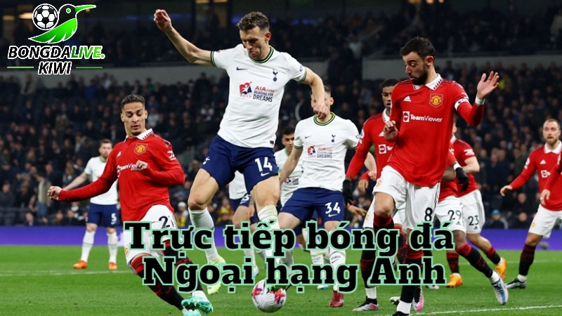 Trực tiếp bóng đá Ngoại hạng Anh hôm nay trên bongdalive.wiki