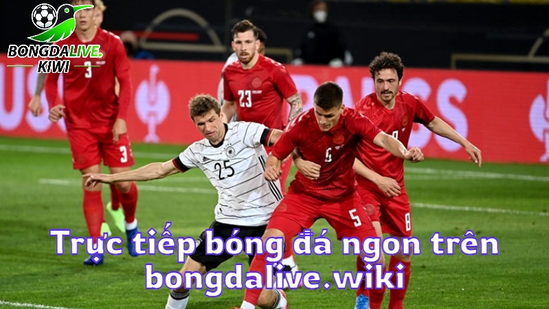 Trực tiếp bóng đá ngon trên bongdalive.wiki