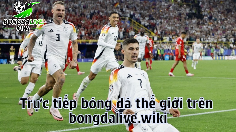 Trực tiếp bóng đá thế giới trên bongdalive.wiki