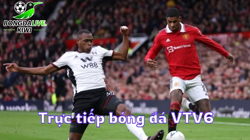 Trực tiếp bóng đá VTV6 hôm nay trên bongdalive.wiki