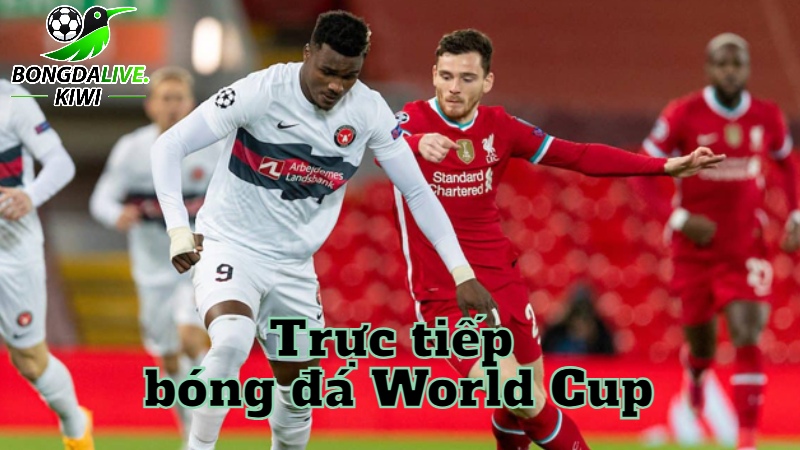 Trực tiếp bóng đá World Cup hôm nay trên bongdalive.wiki