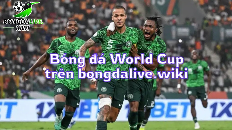 Trực tiếp bóng đá World Cup trên bongdalive.wiki