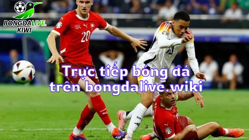 Trực tiếp bóng đá Xoilac 7 hôm nay trên bongdalive.wiki