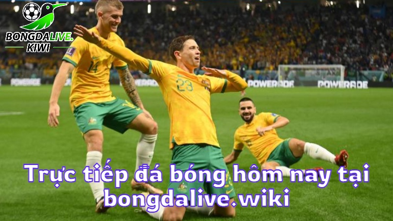 Trực tiếp đá bóng hôm nay tại bongdalive.wiki