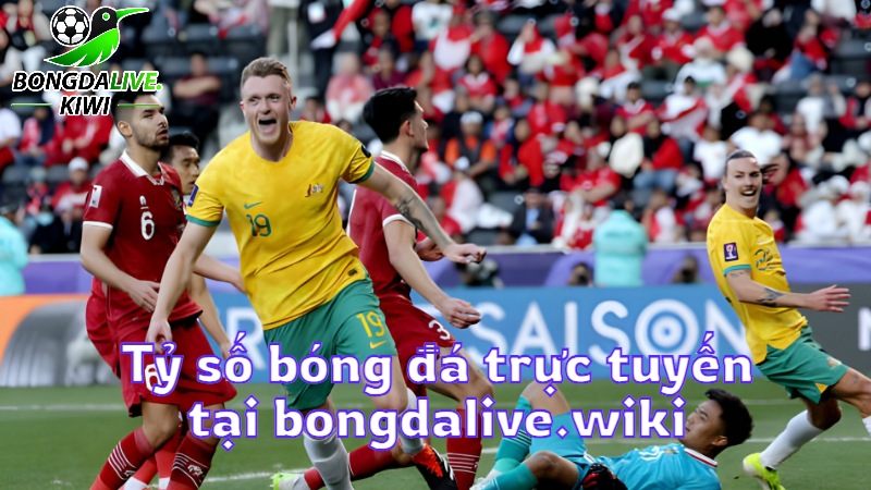 Tỷ số bóng đá trực tuyến hôm nay tại bongdalive.wiki