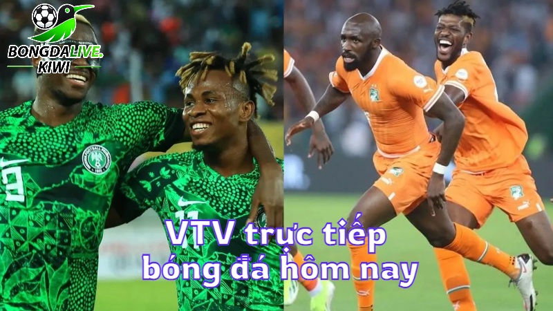 VTV trực tiếp bóng đá hôm nay trên bongdalive.wiki